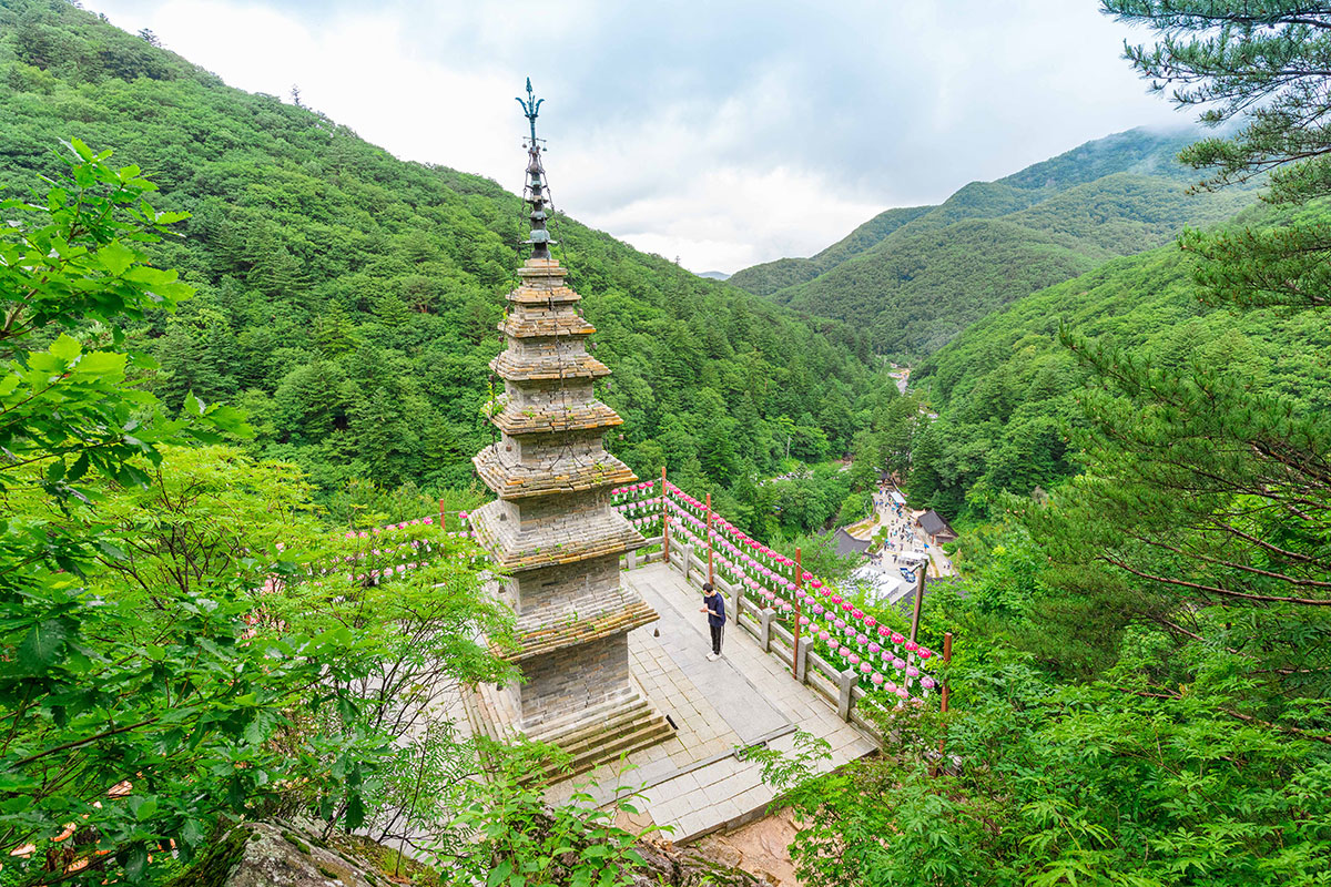 eb05dc71f3e4efec6bb7706ad58ed9e6278e7260