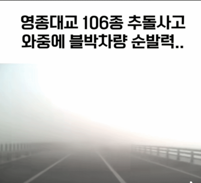 안개지역 추돌사고 | 인스티즈
