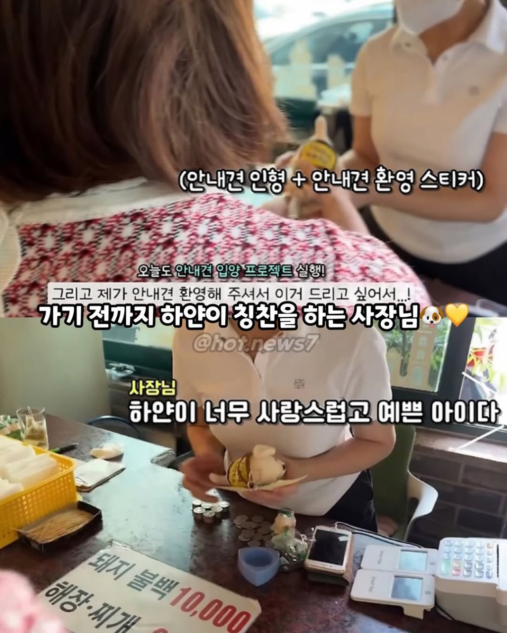 안내견보고 큰소리 내는 식당 | 인스티즈