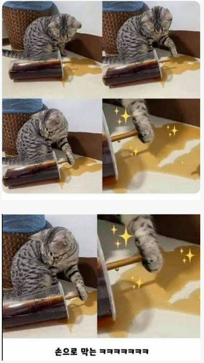 사고는 쳤지만 나름 수습하려 함 | 인스티즈