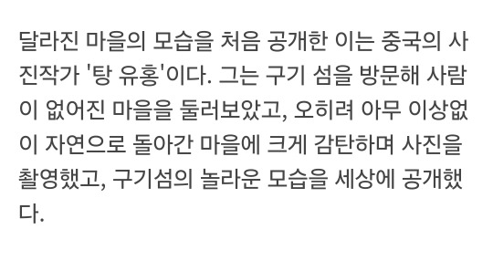 인간이 사라진 후, 수풀로 뒤덮인 마을의 놀라운 모습 | 인스티즈