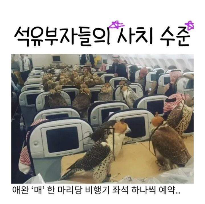 부자 이미지