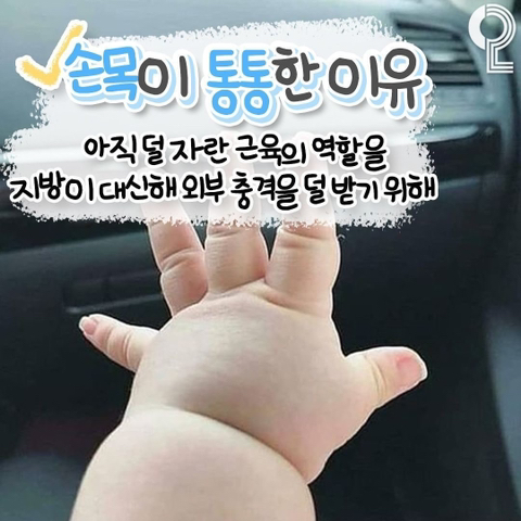 아가들이 통통한 이유 | 인스티즈