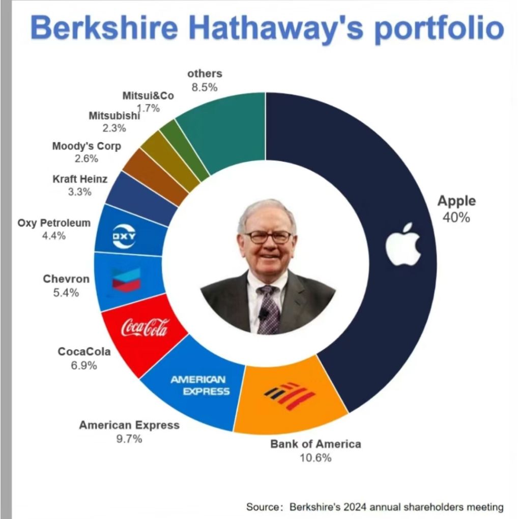 버크셔 해서웨이의 포트폴리오 - 엽기사진실 - 이종격투기