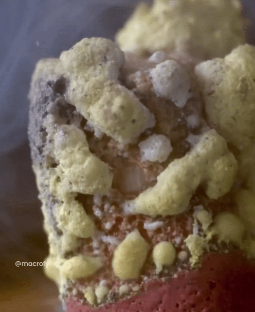  현미경으로 보자 : 성냥개비에 불이 붙는 모습 | 인스티즈