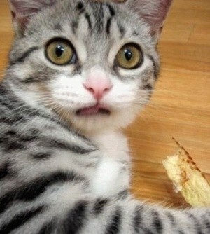 장모님때문에 이혼하고싶습니다 | 인스티즈