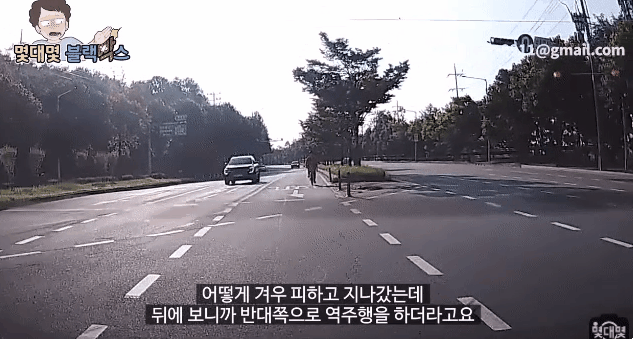 자라니 레전드 총망라 | 인스티즈