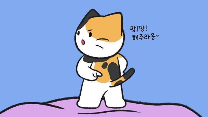 고양이가 집사에게 엉덩이를 들이미는 이유 5가지 | 인스티즈