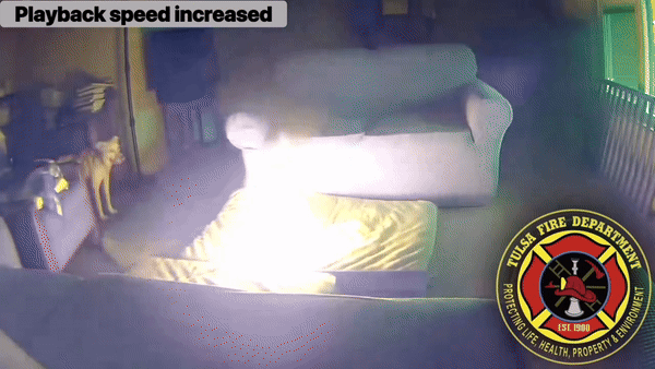 반려견이 물어뜯던 보조배터리 폭발… | 인스티즈