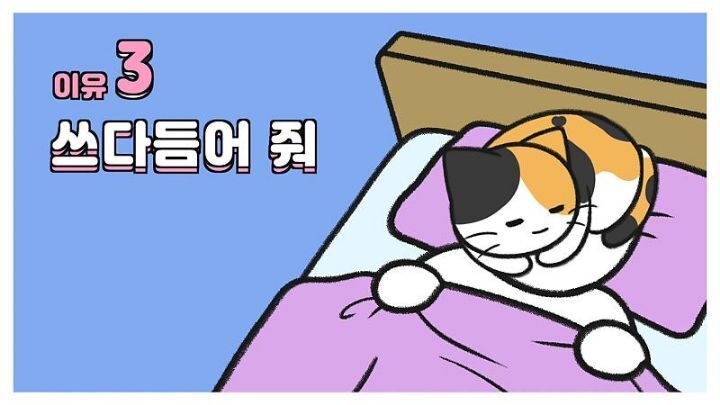 고양이가 집사에게 엉덩이를 들이미는 이유 5가지 | 인스티즈