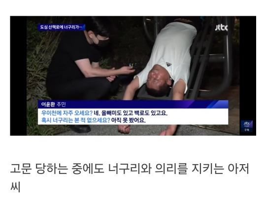 서울 도심에 너구리 출몰했을 때 서울사람들 레전드 인터뷰 | 인스티즈