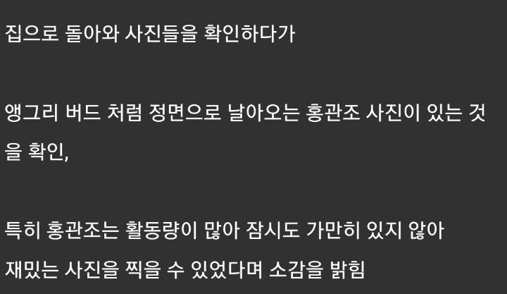 실사판 앵그리 버드를 찍는데 성공한 사진가 | 인스티즈