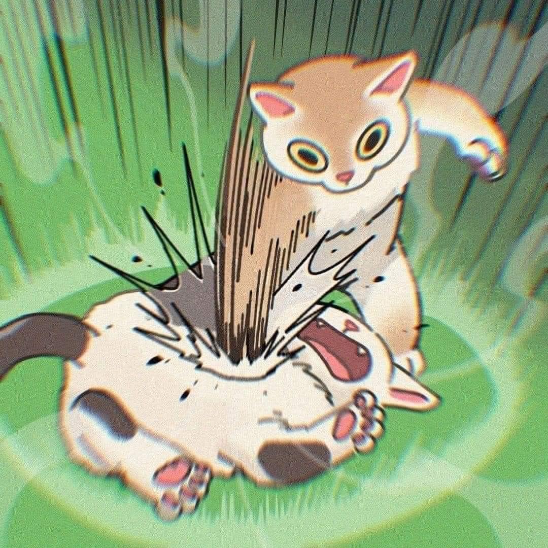[귀여움대결] 고양이 그림 vs 사진 | 인스티즈