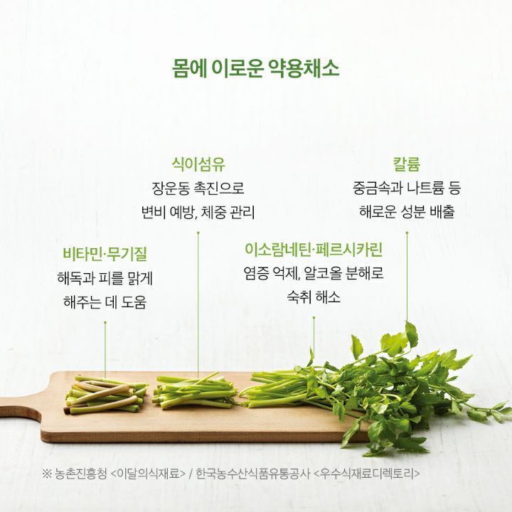 미나리 이미지