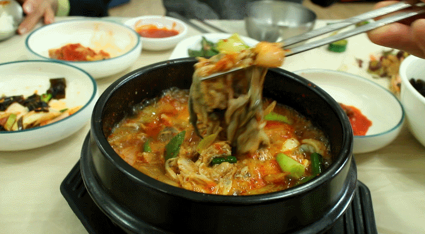 부산 제철수산물 붕장어 - 엽기사진실 - 이종격투기 부산 제철수산물 붕장어