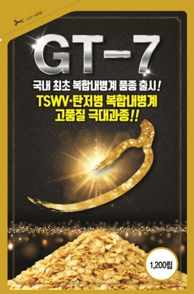 빅포 이미지