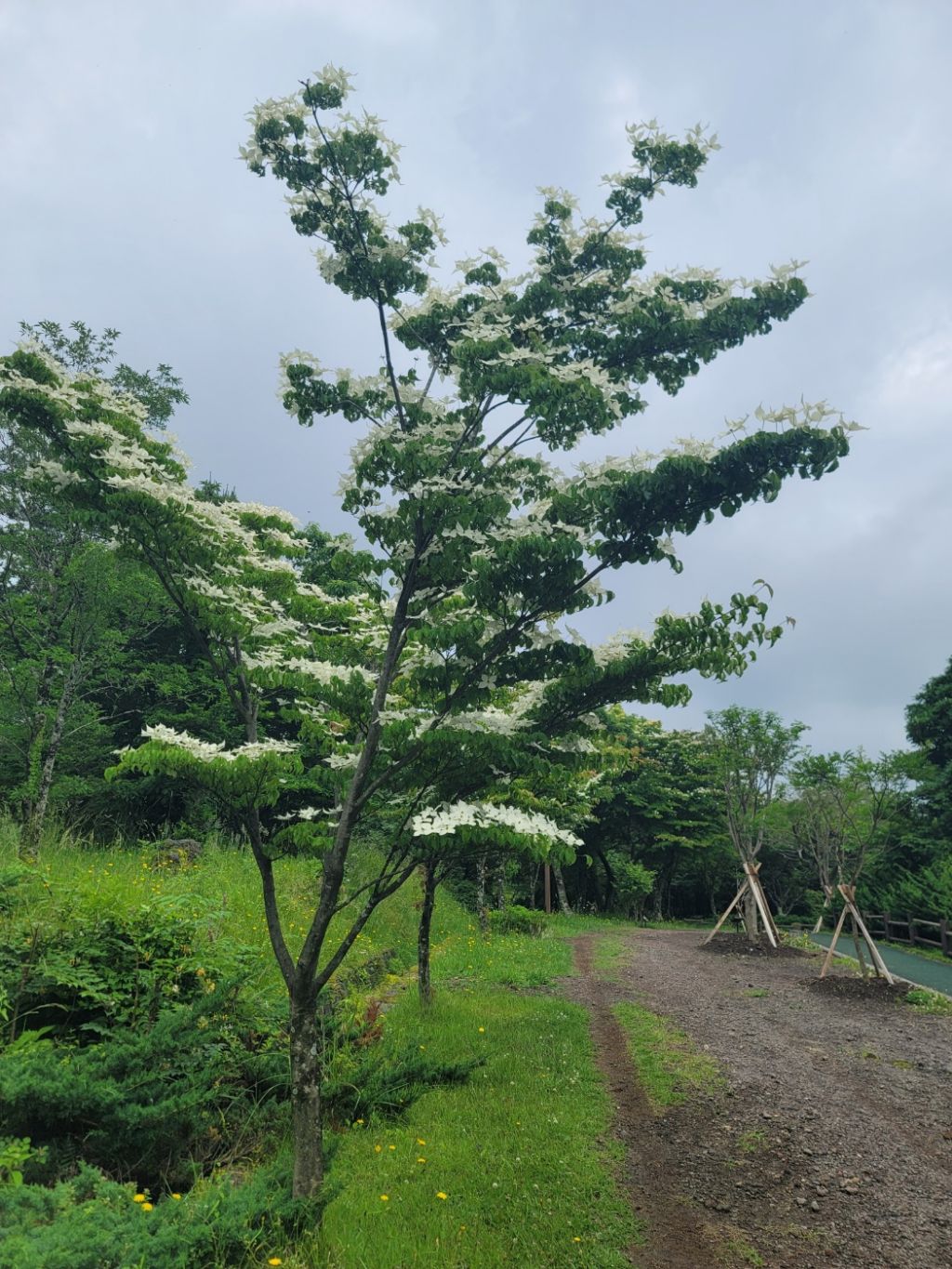 산딸낭 이미지