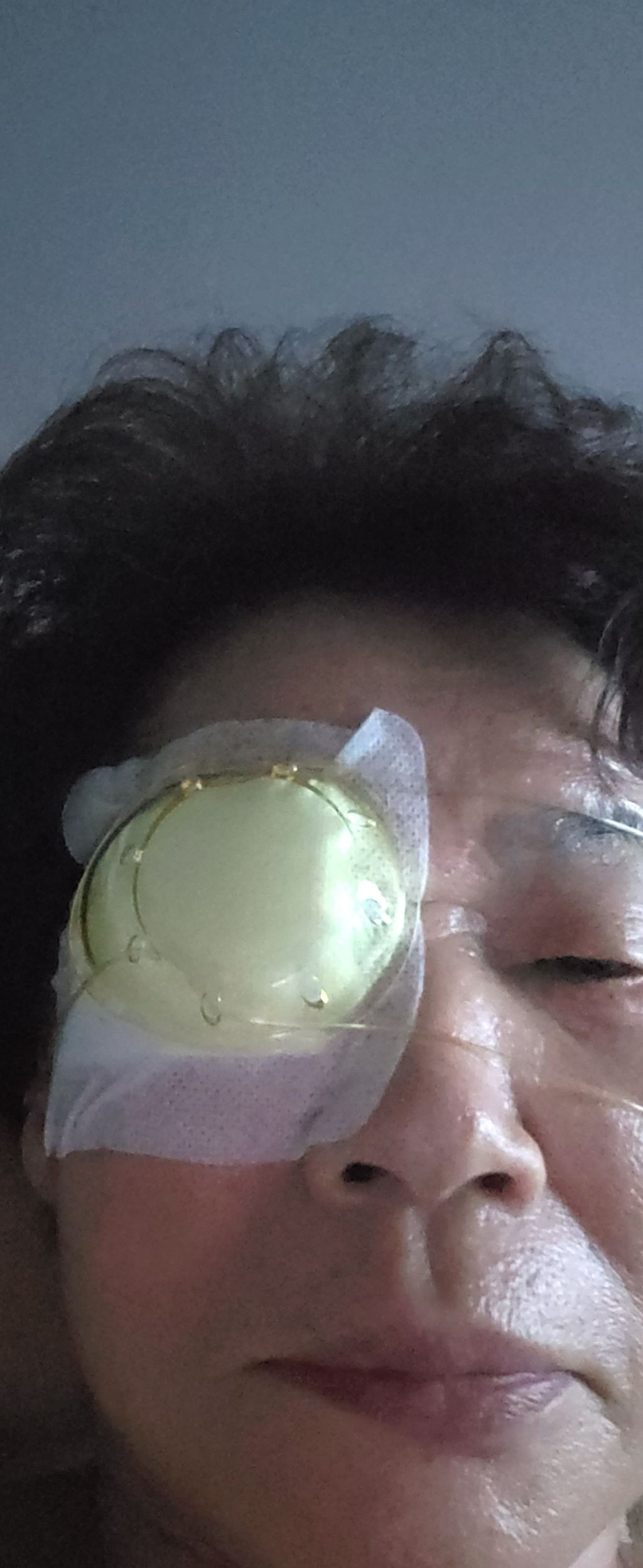 남강오리탕 이미지