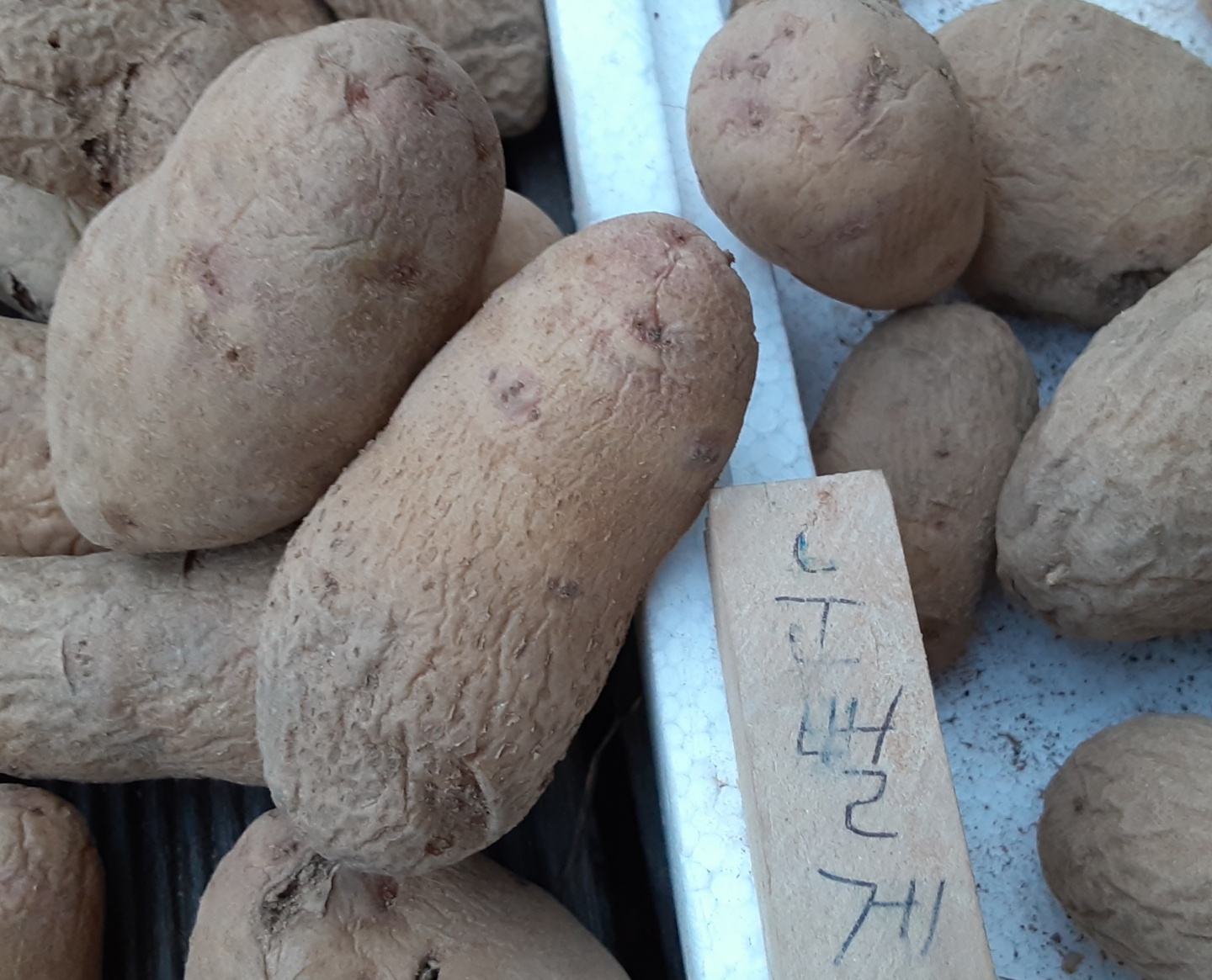 무릉다락방 이미지