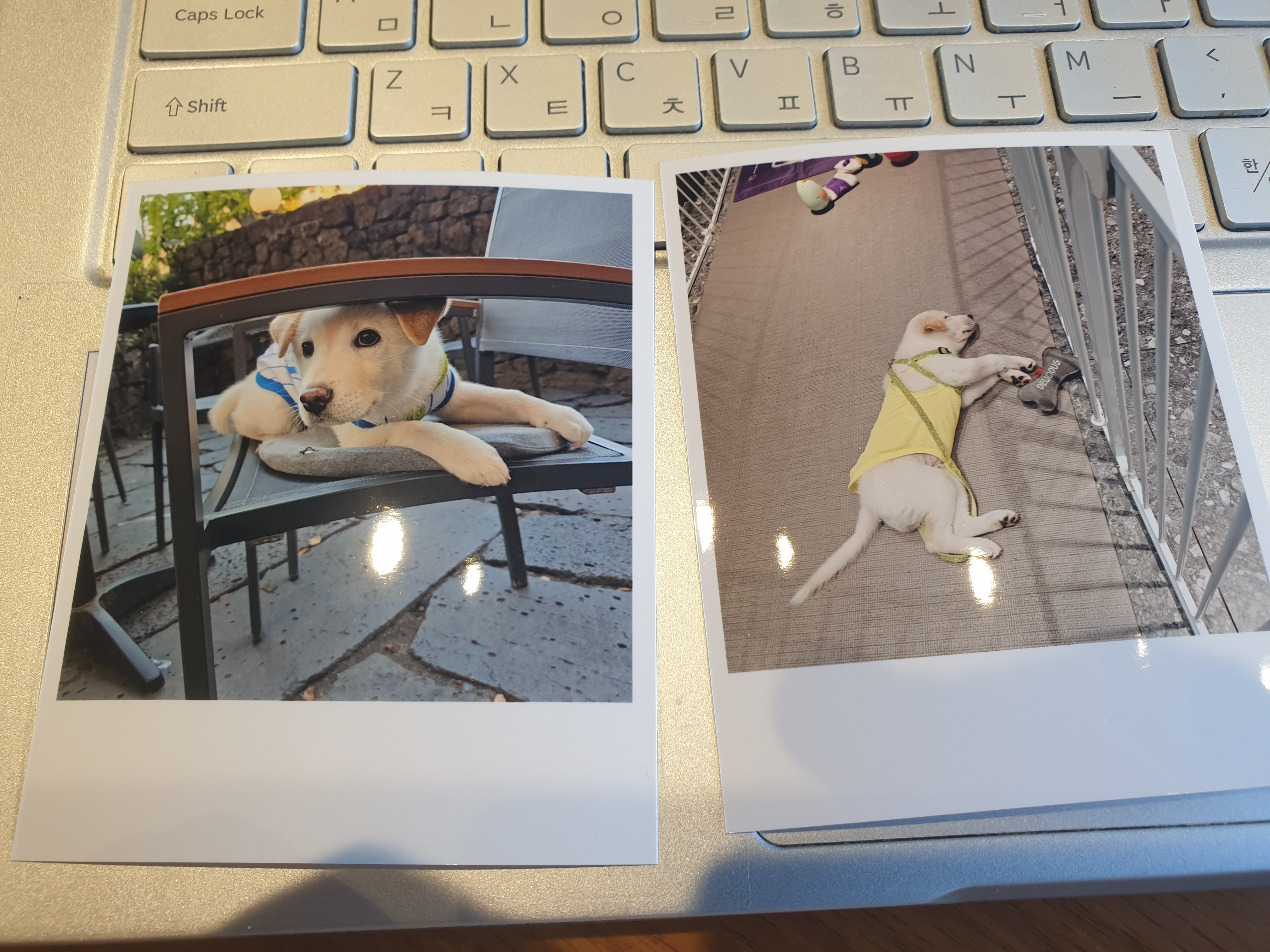 복커피숍 이미지