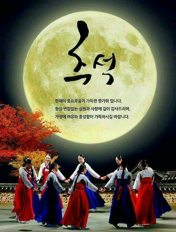 복스런 이미지