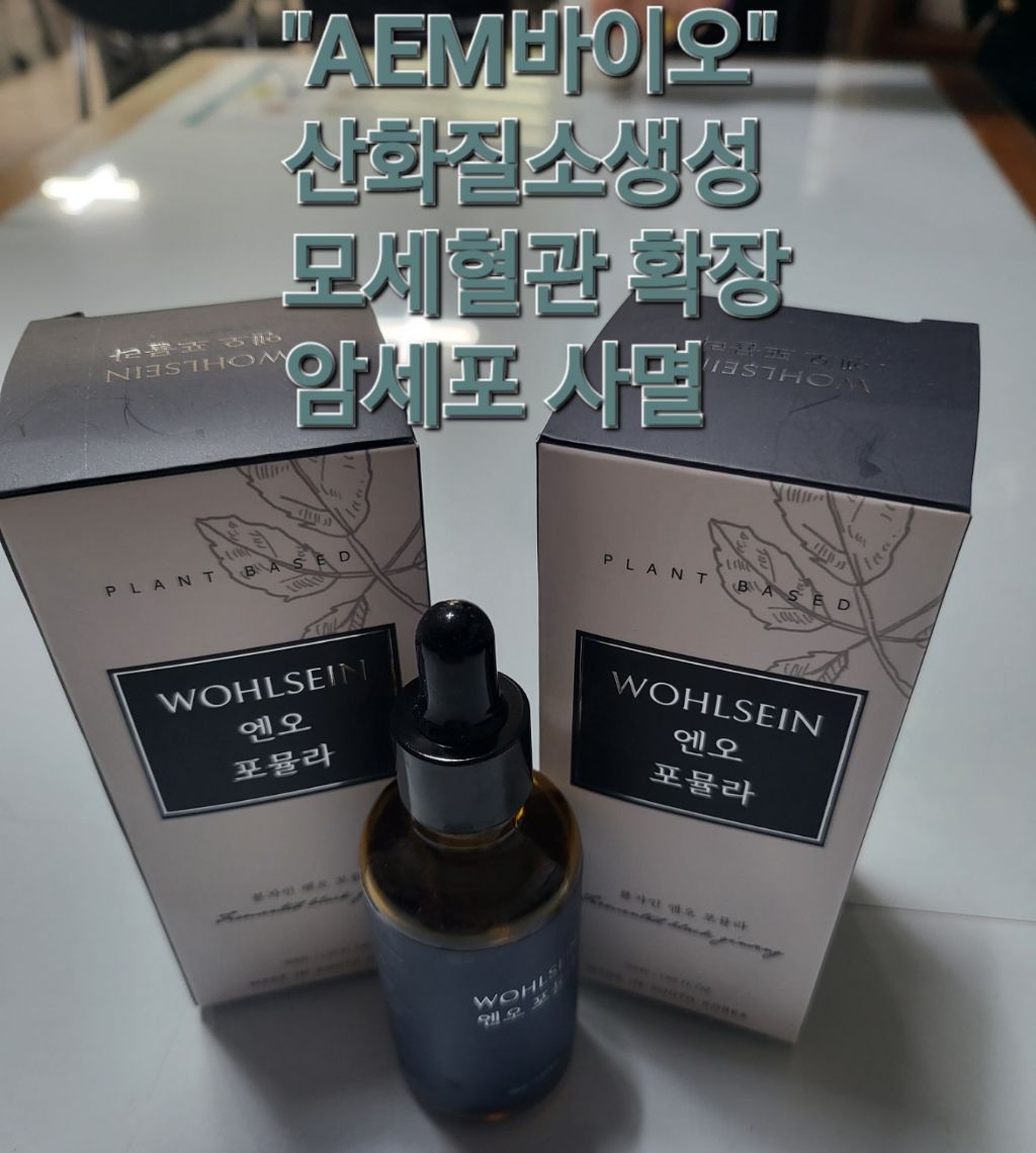 포풀라 이미지