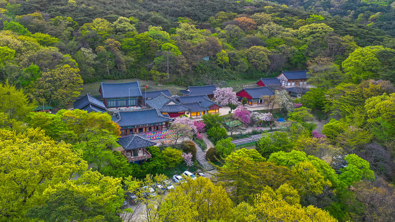 여행바람 이미지