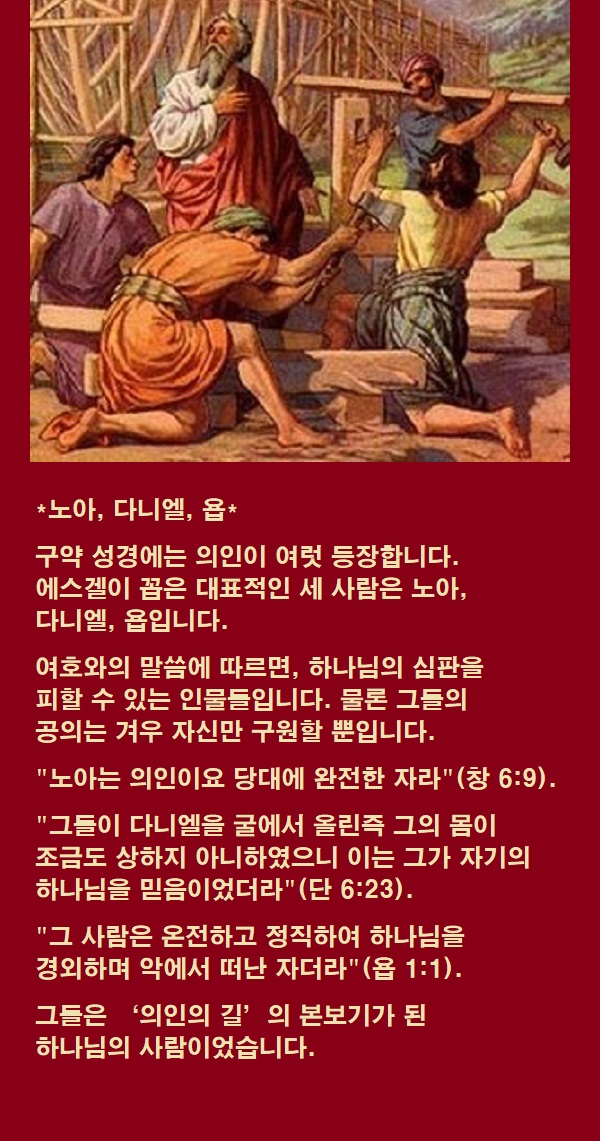 노아 이미지