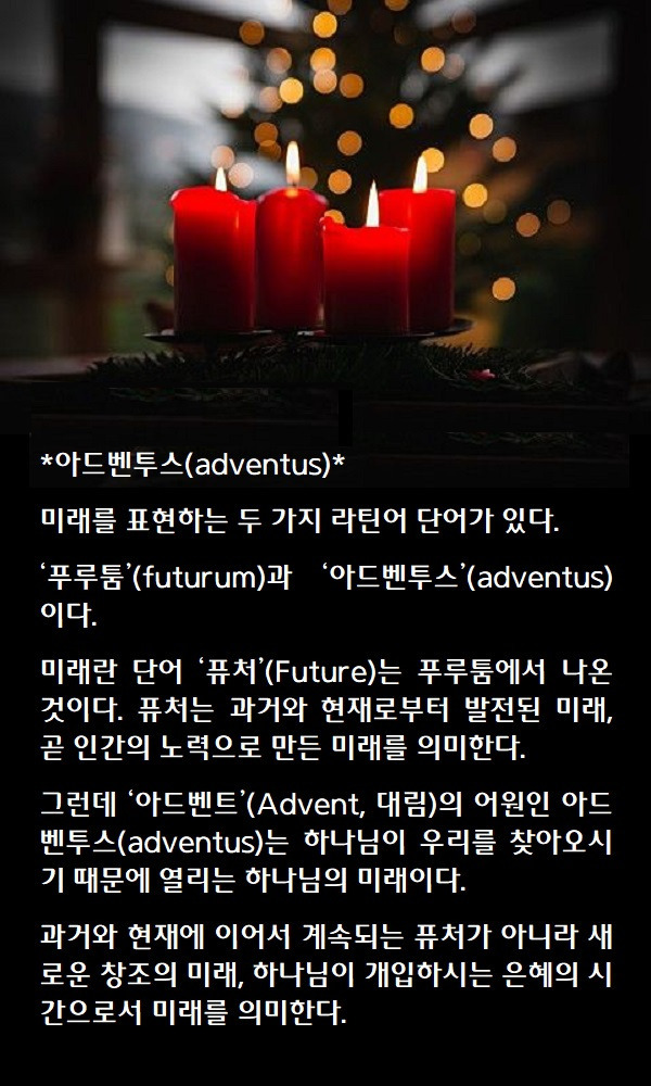 벤투스 이미지