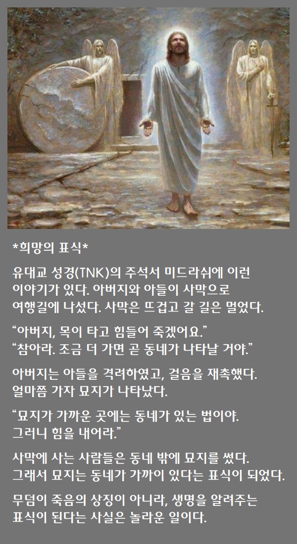 표식 이미지
