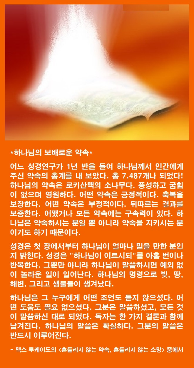 보배 이미지