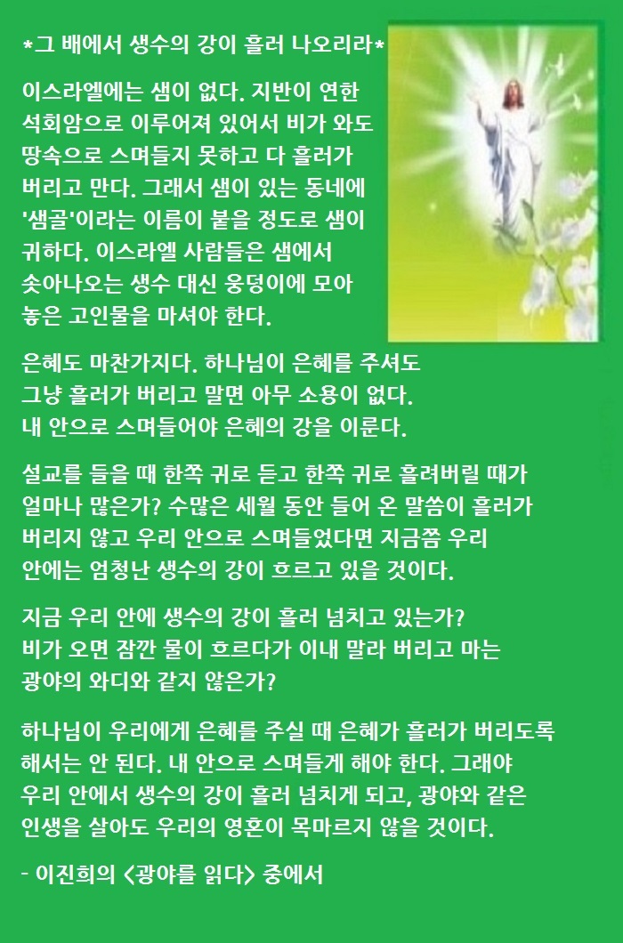 생수의강 이미지