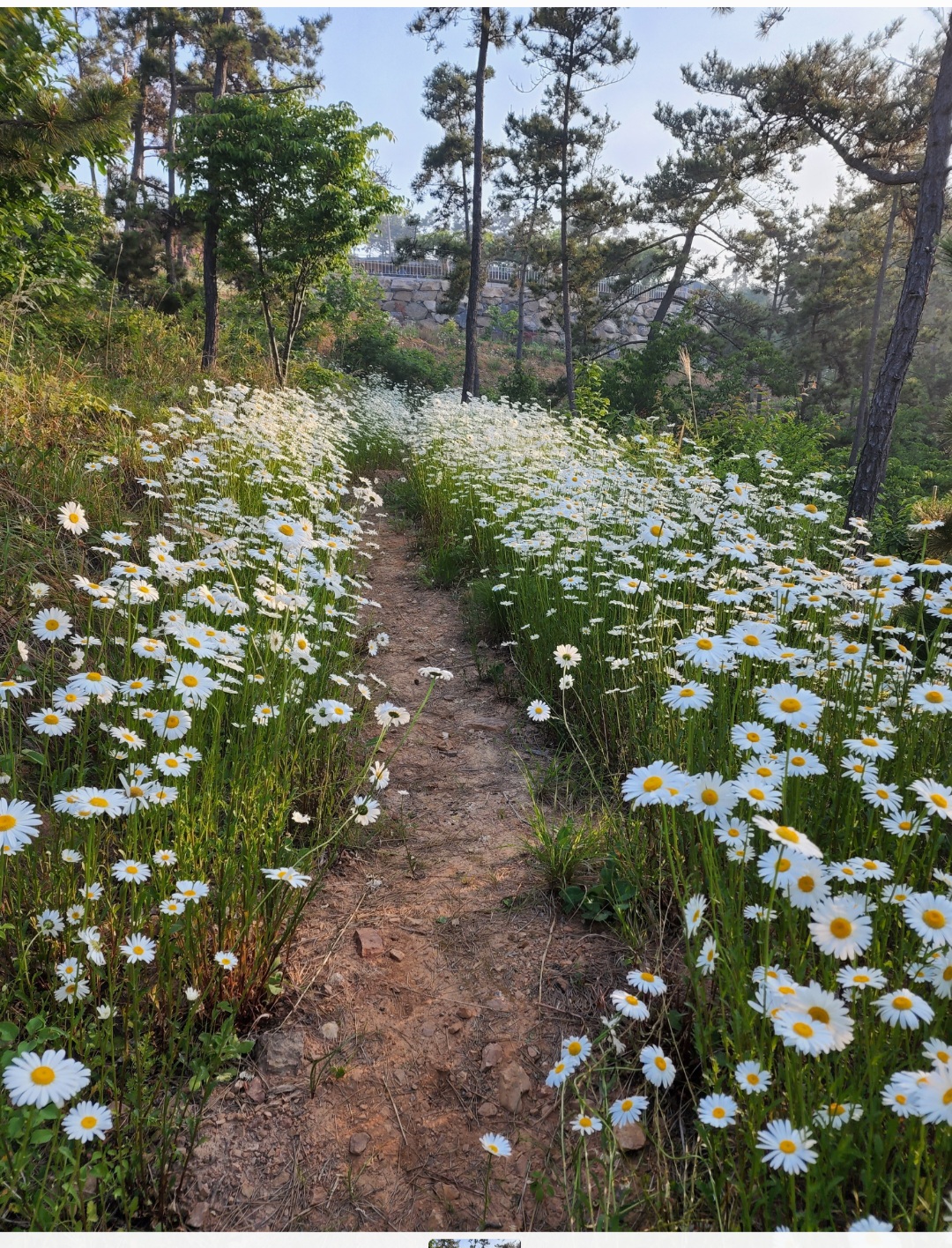 휴힐링 이미지