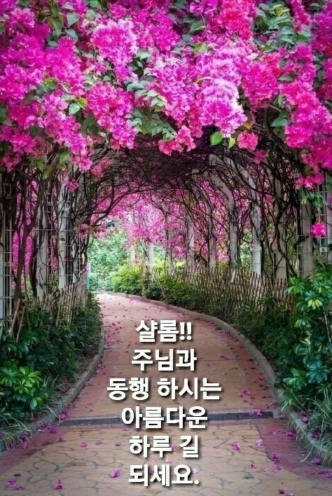 예쁜하루 이미지