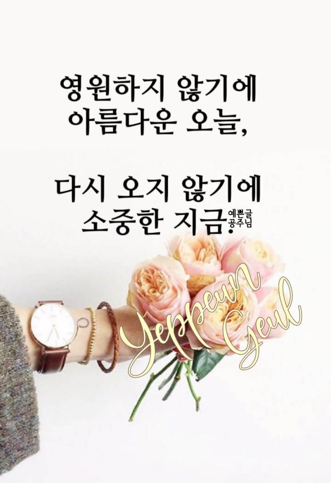벨로체 이미지
