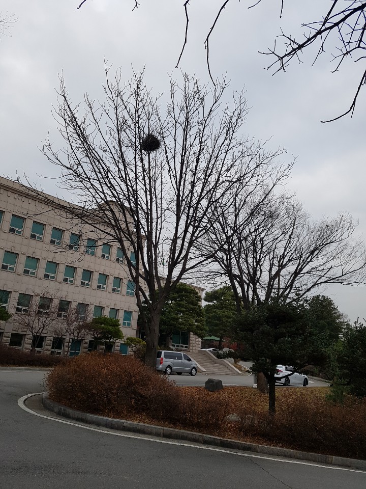 씨밀레 이미지