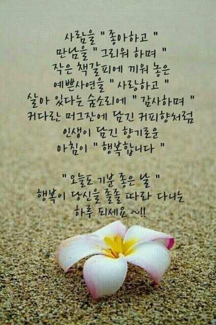 멋진하루 이미지