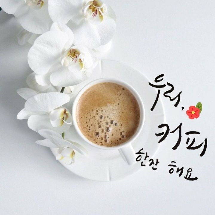 니아 이미지