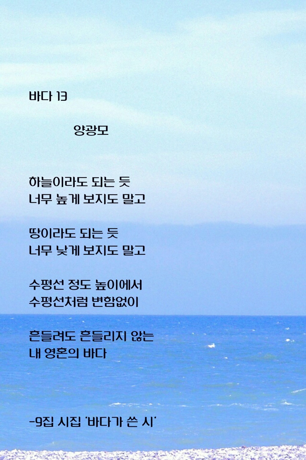 남쪽향기 이미지