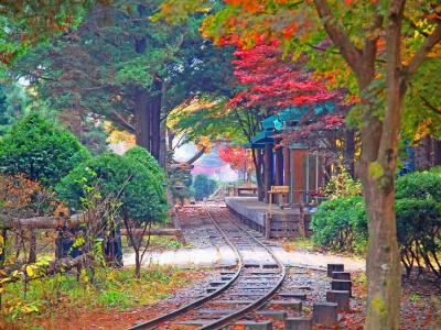 언제나;예쁘다 이미지