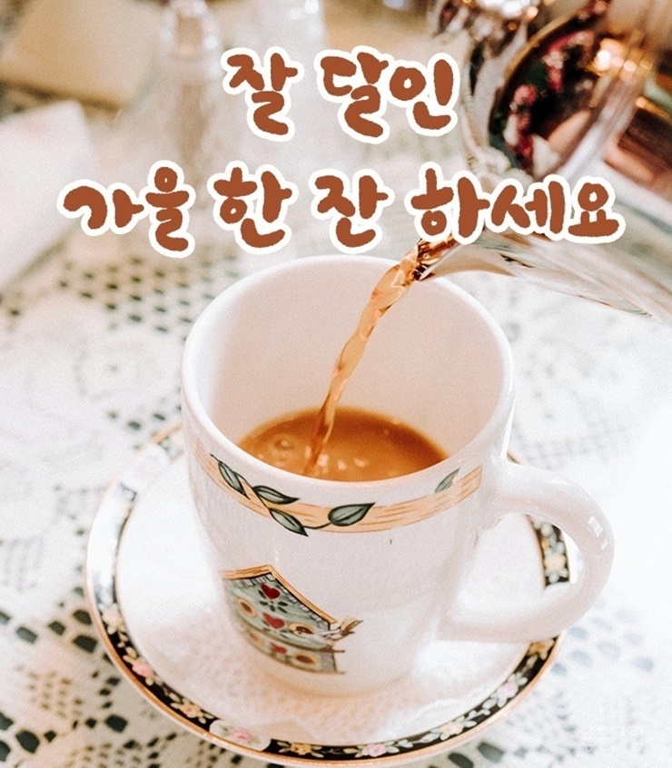 여유로움 이미지