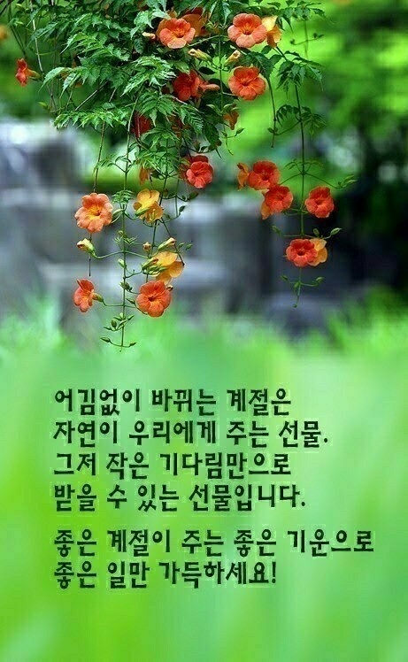 굿모닝 좋은 아침입니다 - ─‥‥최고의이미지 - 인생은추억여행 굿모닝 좋은 아침입니다