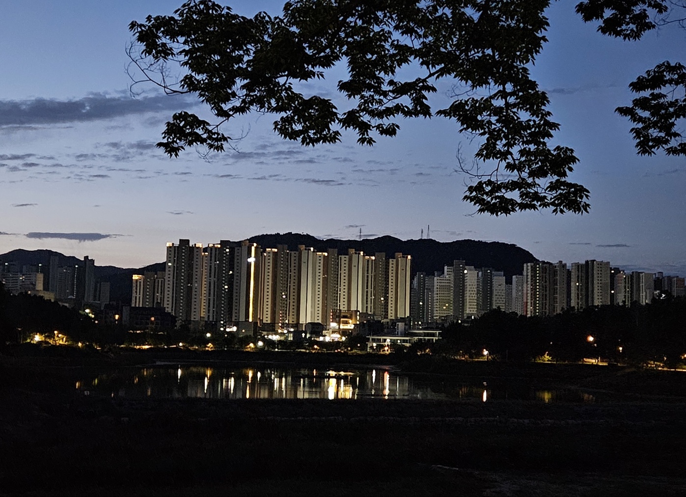 세상살이 이미지