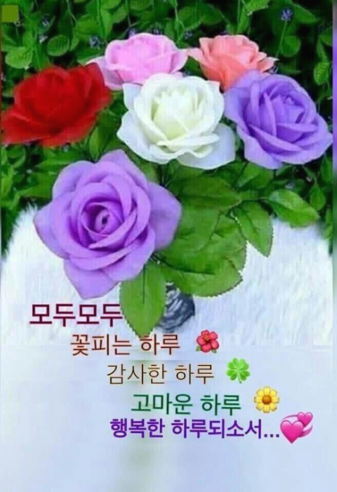 아름다운 사람들 이미지