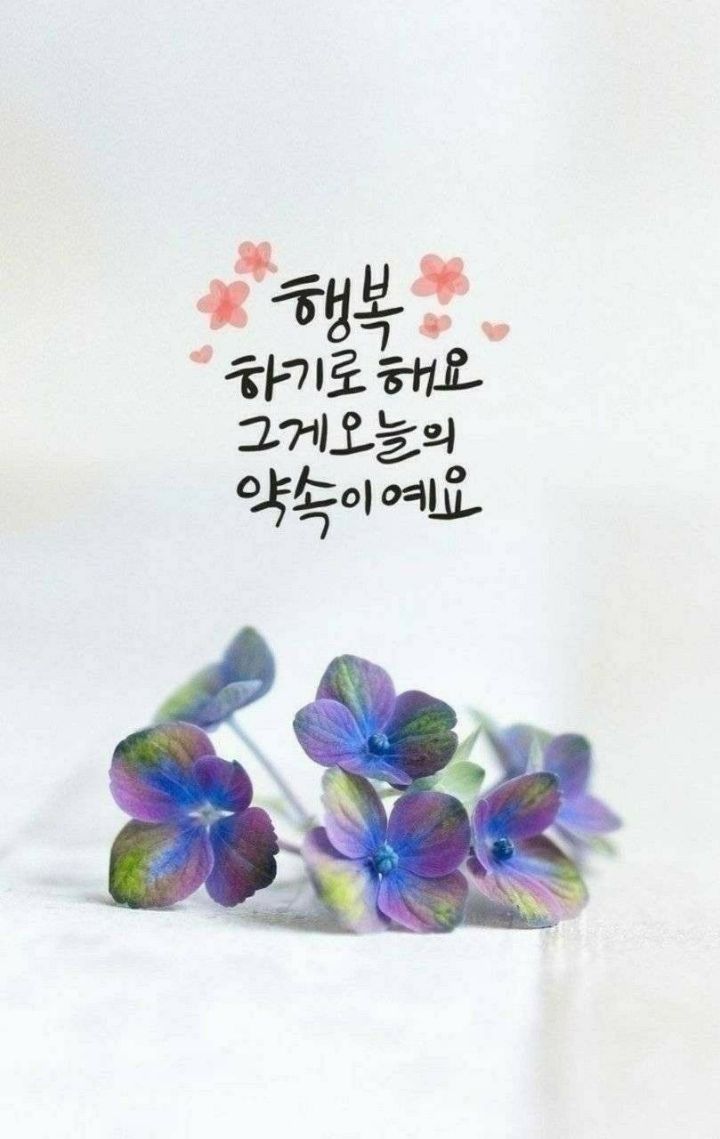 박*양 이미지