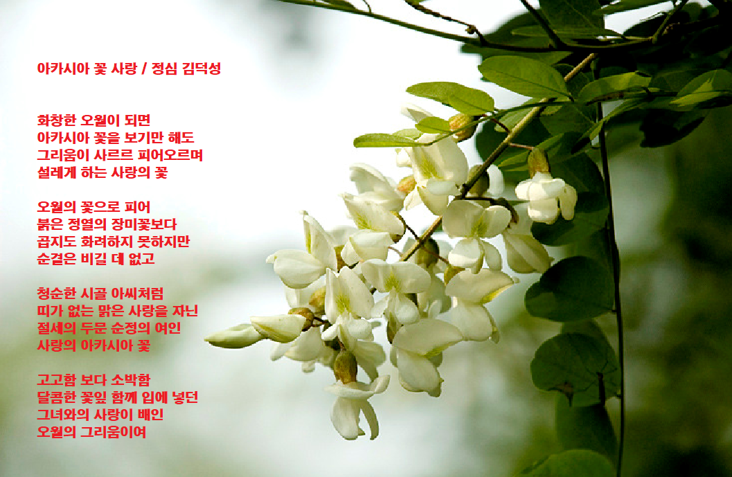 꽃사랑 이미지