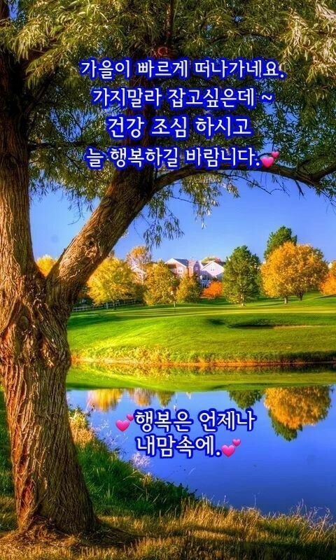 언제나;예쁘다 이미지