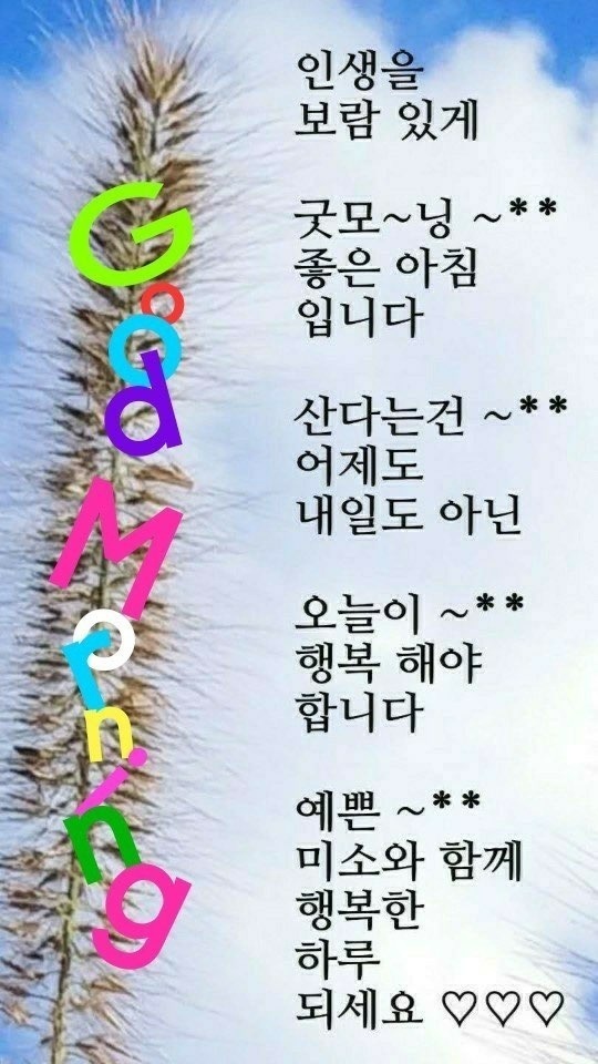 듬뿍 이미지