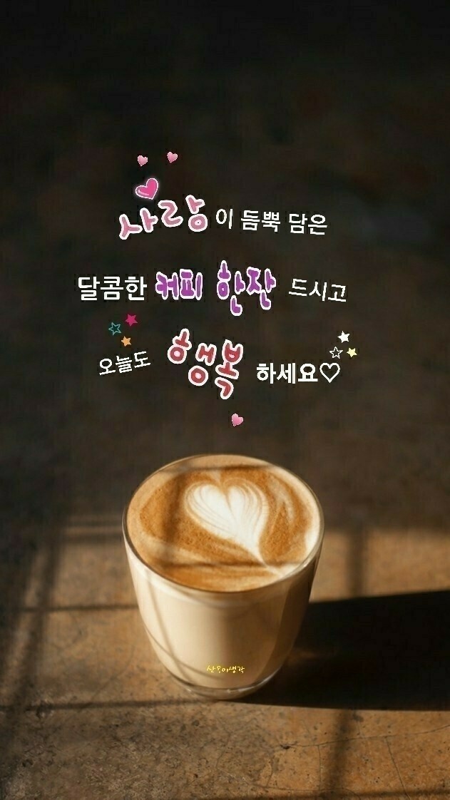 Daum 카페