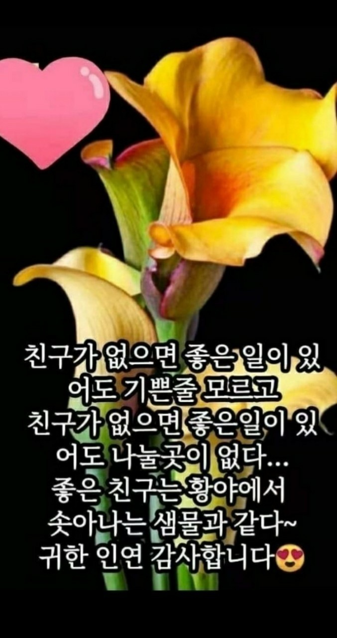 굿모닝 좋은 아침입니다 - ─‥‥최고의이미지 - 인생은추억여행 굿모닝 좋은 아침입니다